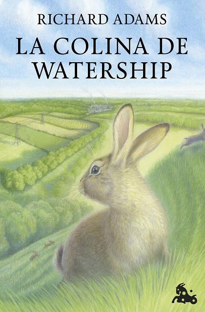 La colina de Watership | 9788432241468 | Adams, Richard