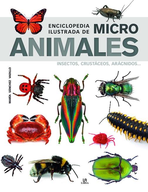 Enciclopedia Ilustrada de Micro Animales | 9788466239011 | Sánchez Vadillo, María