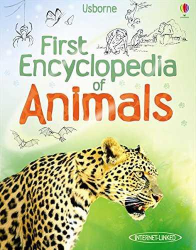 FIRST ENCYCLOPEDIA | 9781409522423 | AA VV