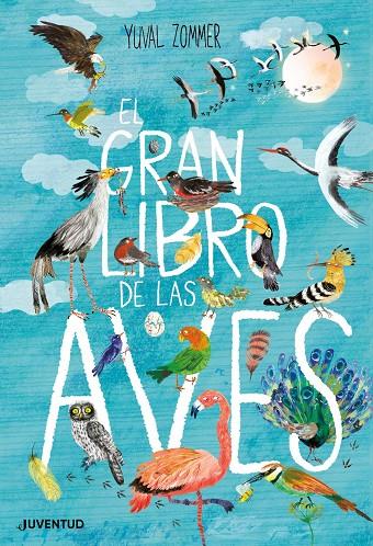 El gran libro de las aves | 9788426145833 | Zommer, Yuval