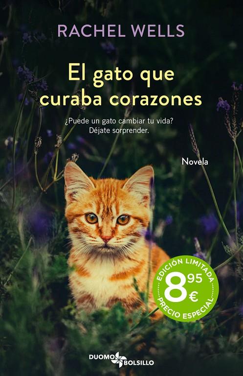 El gato que curaba corazones | 9788419004468 | Wells, Rachel