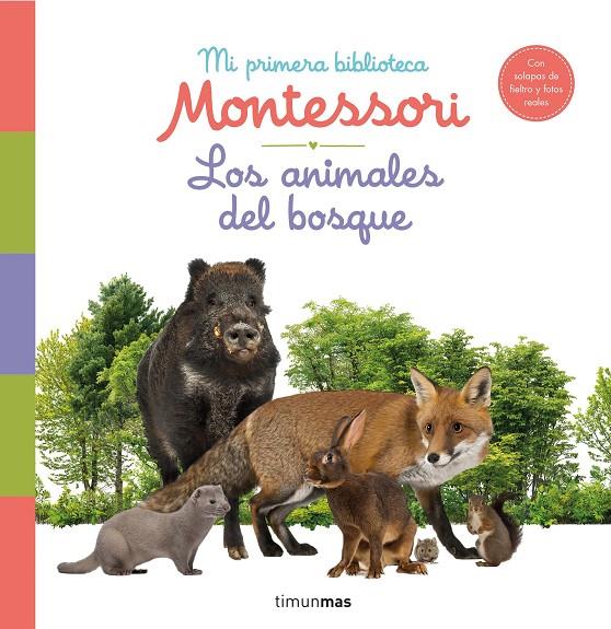 Los animales del bosque. Mi primera biblioteca Montessori | 9788408244608 | AA. VV.