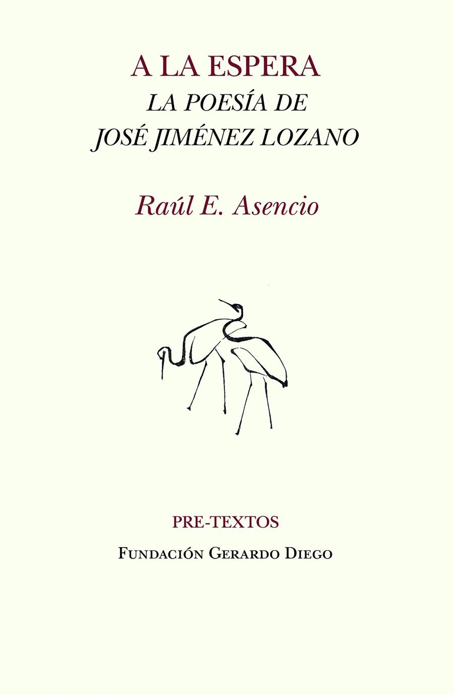 A la espera | 9788419633019 | E. Asencio, Raúl