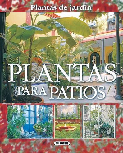 Plantas para patios | 9788430557011 | Alonso de la Paz, Francisco Javier