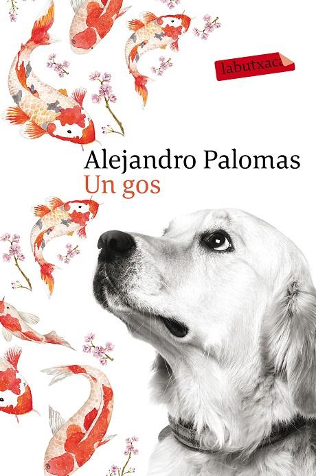 Un gos | 9788416600625 | Palomas, Alejandro