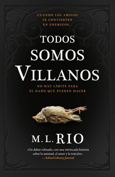 Todos somos villanos | 9788419030474 | RIO, M.L.