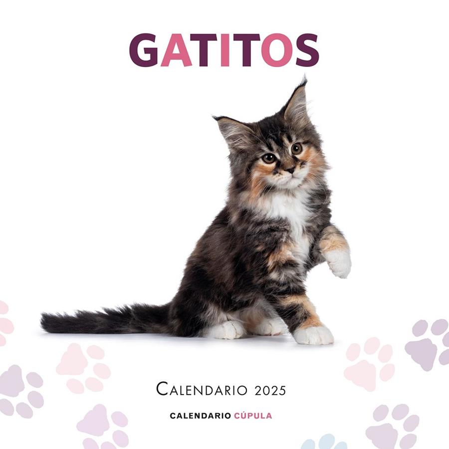 Calendario Gatitos 2025 | 9788448041656 | AA. VV.