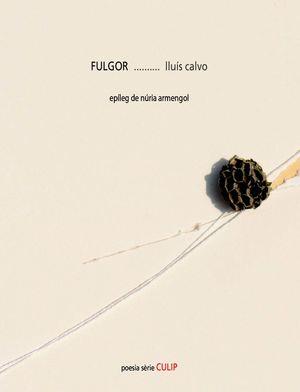 Fulgor | 9788481289862 | Calvo, Lluís