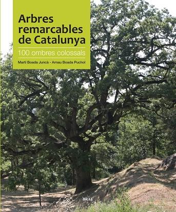 Arbres remarcables de Catalunya | 9788496905535 | Boada Juncà, Martí / Boada Puchol, Arnau