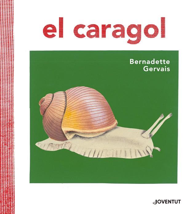 El caragol | 9788426145680 | Gervais, Bernadette