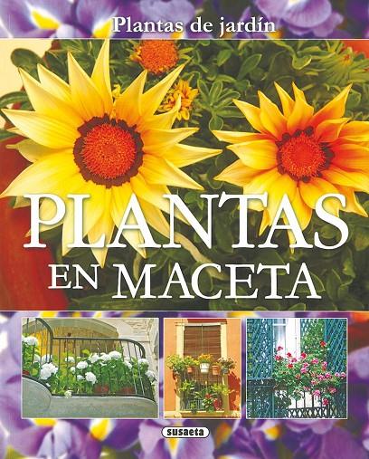 Plantas en maceta | 9788430559596 | Echagüe, Jorge