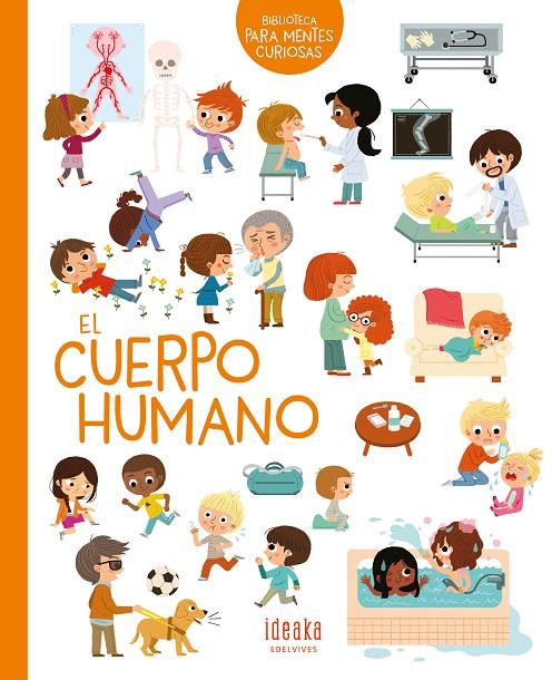 El cuerpo humano | 9788414036945 | Ledu-Frattini, Stéphanie