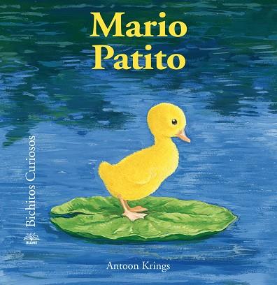 Bichitos Curiosos. Mario Patito | 9788498018530 | Krings, Antoon