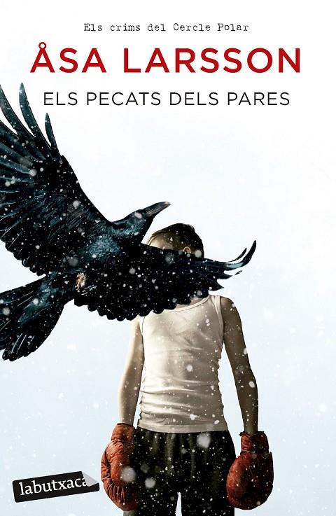 Els pecats dels pares | 9788419107770 | Larsson, Åsa