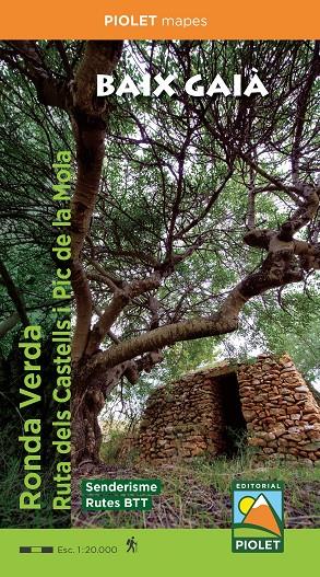 BAIX GAIÀ. Ronda Verda. Ruta dels Castells i Pic de la Mola | 9788412020175 | AA.VV.