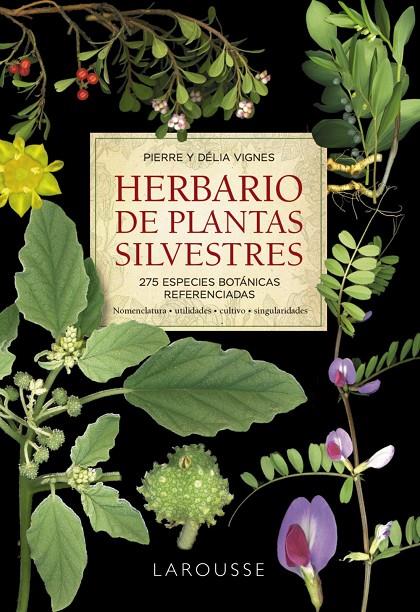 Herbario de plantas silvestres | 9788418473999 | Vignes, Pierre / Vignes, Délia