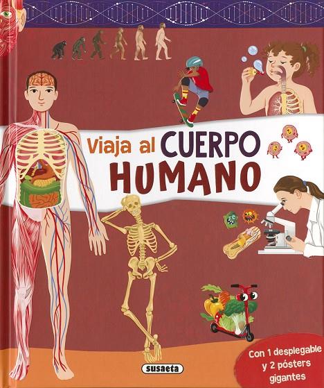 Cuerpo humano | 9788467799866 | Ediciones, Susaeta