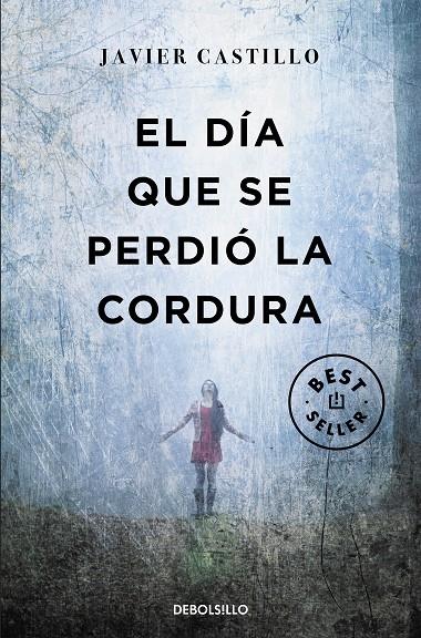 El día que se perdió la cordura | 9788466346122 | Castillo, Javier