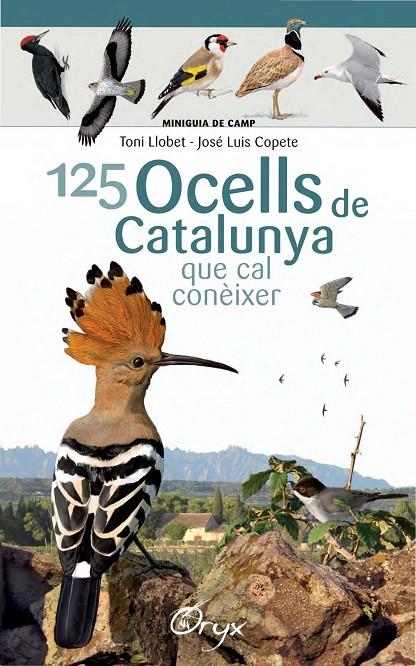 125 ocells de Catalunya | 9788490346747 | Llobet François, Toni / Copete, José Luis