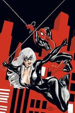 Marvel must have spiderman/la gata negra. el mal que hacen los hombres 38 | 9788411011891 | Smith, Kevin / Dodson, Terry