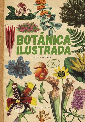 Botánica ilustrada | 9788419095084 | Soria, Carmen