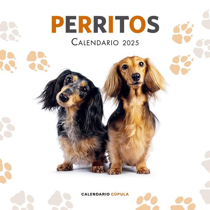 Calendario Perritos 2025 | 9788448041649 | AA. VV.