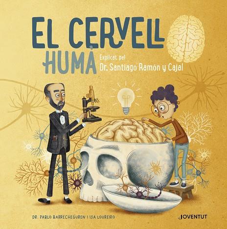 El cervell humà | 9788426147127 | Barrecheguren, Pablo