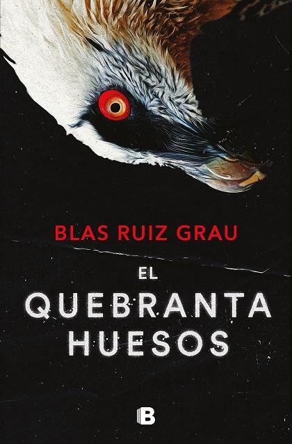 El quebrantahuesos (Nicolás Valdés 4) | 9788466673600 | Ruiz Grau, Blas