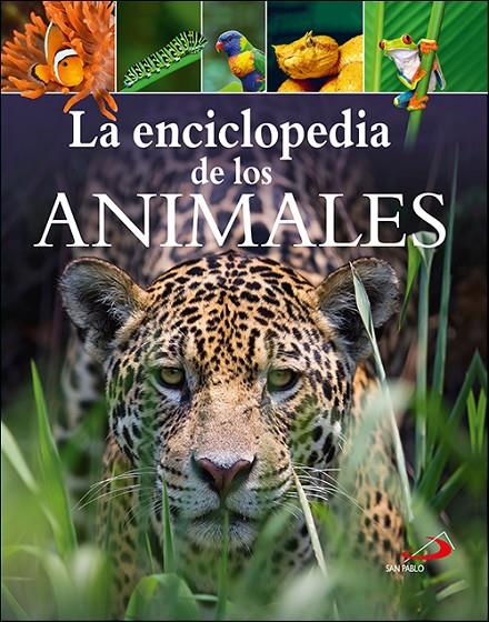 La enciclopedia de los animales | 9788428557511 | Leach, Michael / Lland, Meriel