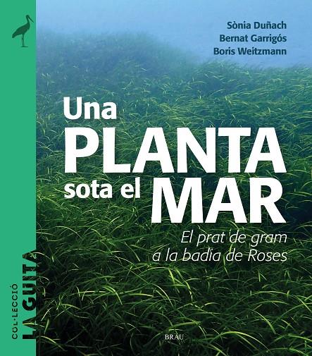 Una planta sota el mar | 9788418096747 | Duñach, Sònia / Garrigós, Bernat / Weitzmann, Boris