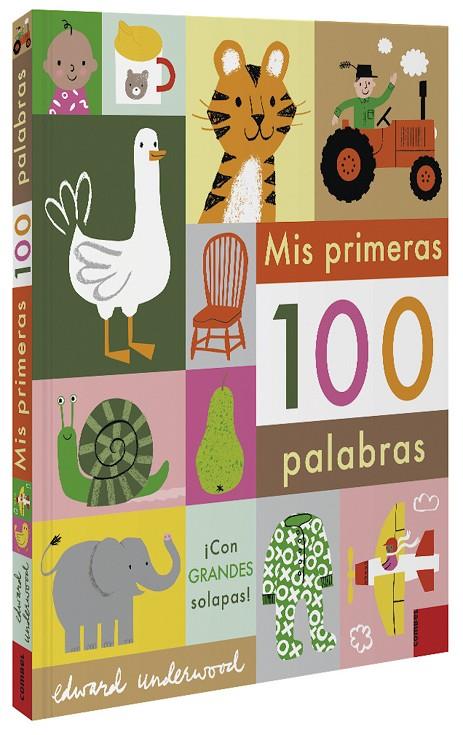 Mis primeras 100 palabras | 9788491015949 | Underwood, Edward