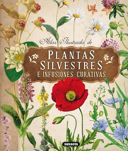 Plantas silvestres e infusiones curativas | 9788467722864 | Tomanová, Eliska