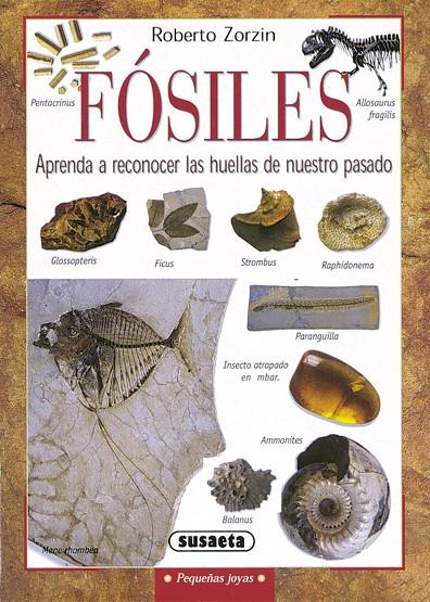 Fósiles | 9788430533527 | Zorzin, Roberto