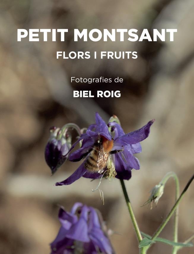 PETIT MONTSANT | 9788412565140 | Roig, Biel