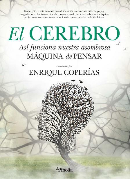 El cerebro. | 9788412336559 | Enrique Manuel Coperías Jiménez