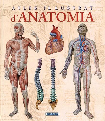 Atles il-lustrat d'anatomia | 9788467702101 | Rigutti, Adriana