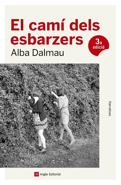 El camí dels esbarzers | 9788417214562 | Dalmau Viure, Alba